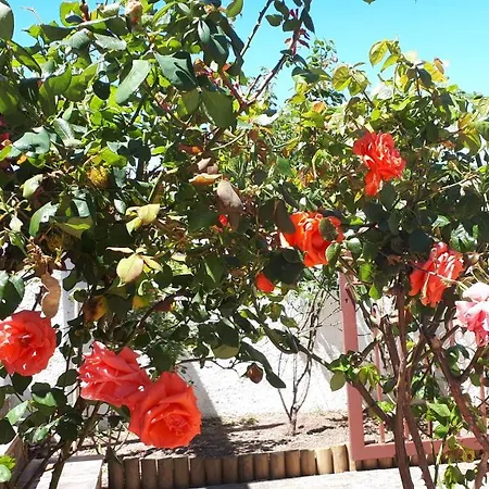 Сasa de vacaciones Casa Els Rosers Wifi *